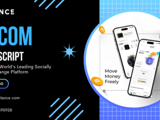 Custom XT. com Clone Development company