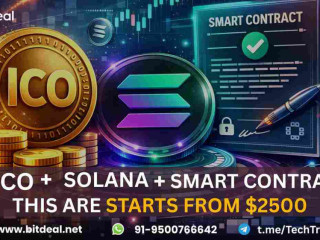 Turn Your Crypto Idea into a Solana-Based ICO with Smart Contracts – From $2500