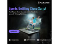 turn-your-vision-into-profit-using-whitelabel-sports-betting-software-small-0