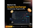 build-your-crypto-empire-fastly-with-ready-made-crypto-exchange-script-small-0