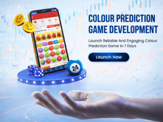 Build an Engaging Colour Prediction Game Platform for the Future