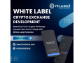 white-label-cryptocurrency-exchange-development-company-small-0