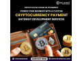 cryptocurrency-payment-gateway-development-company-small-0