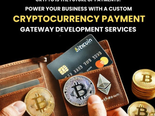 Cryptocurrency Payment Gateway Development Company