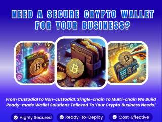 End-to-End Crypto Wallet Development for Global Entrepreneurs