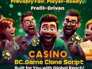 Get Your Own BC Game-Like Crypto Casino – Full Source Code Available