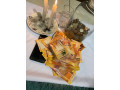 guaranteed-black-magic-money-spells-that-will-make-you-rich-small-1