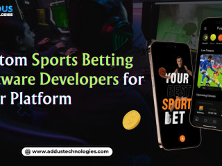 Custom Sports Betting Software Developers for Your Platform