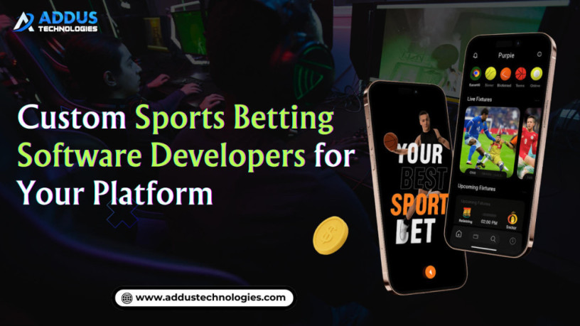 custom-sports-betting-software-developers-for-your-platform-big-0